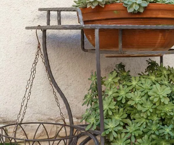 Cambi Апартаменты Сплит